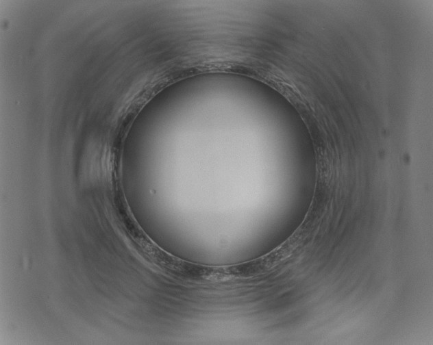 X0000072940742200607210907