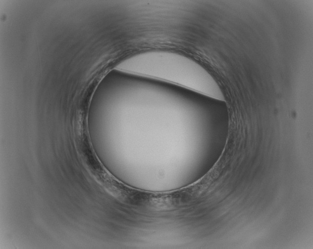 X0000072940744200607210907