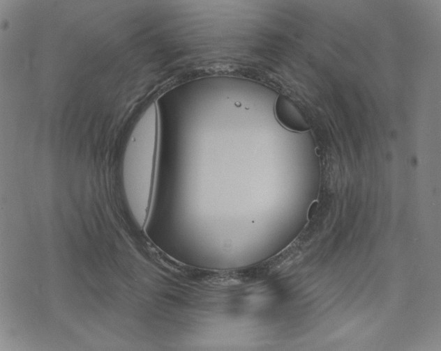 X0000072940747200607210907