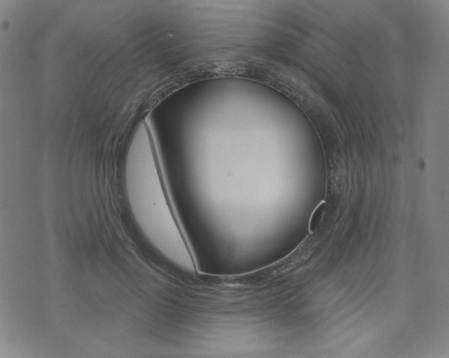 X0000072940748200607210907