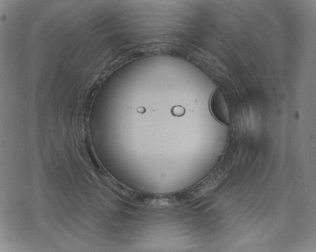 X0000072940751200607210907