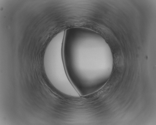 X0000072940752200607210907