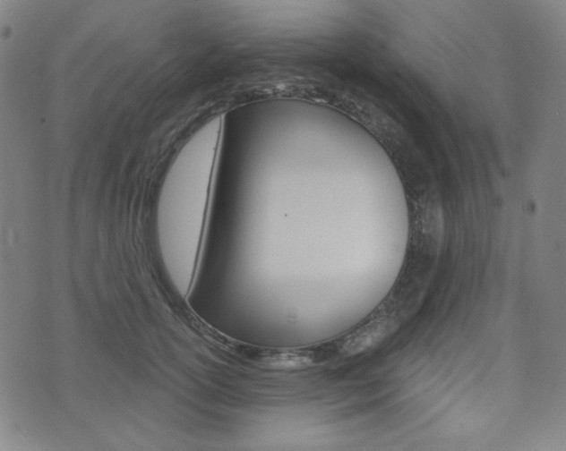 X0000072940754200607210907