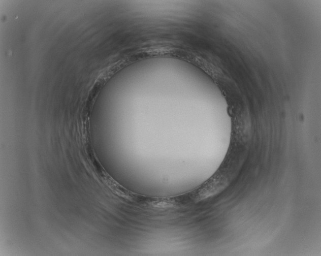 X0000072940755200607210907