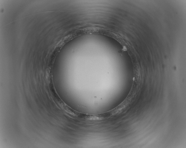 X0000072940759200607210907