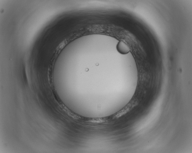 X0000072940765200607210907