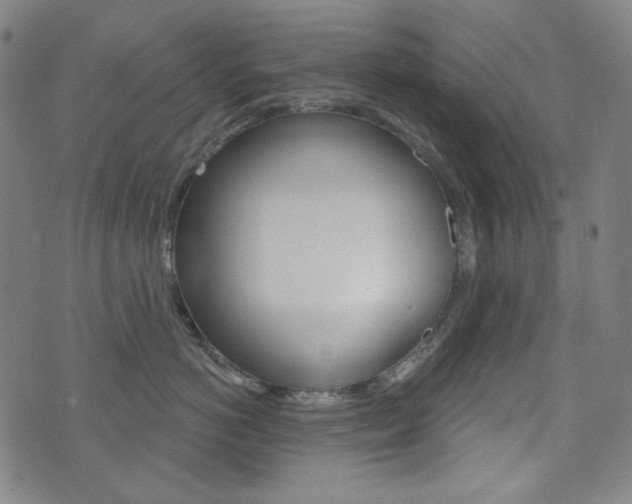 X0000072940766200607210907