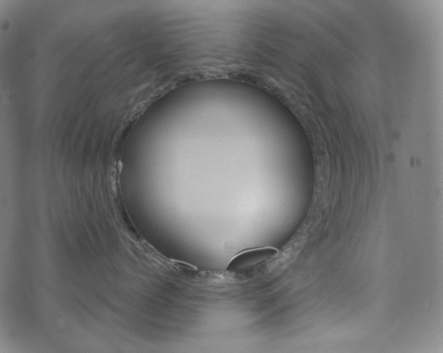 X0000072940768200607210907