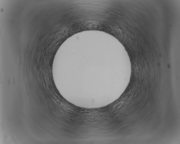 X0000072940769200607210906