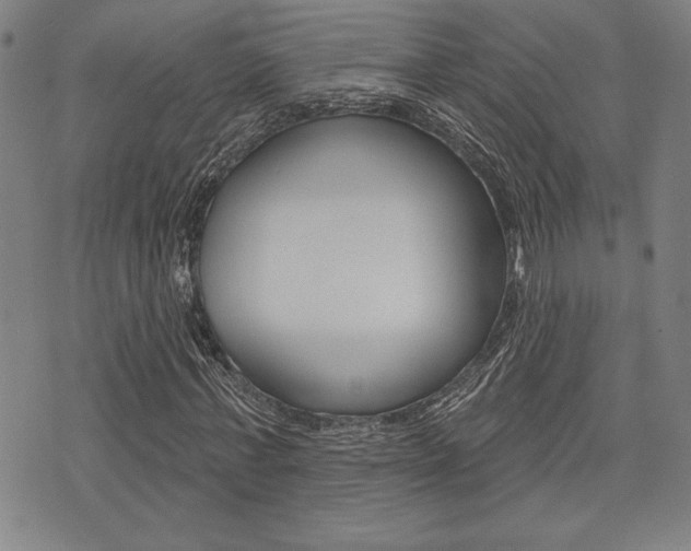 X0000072940771200607210906
