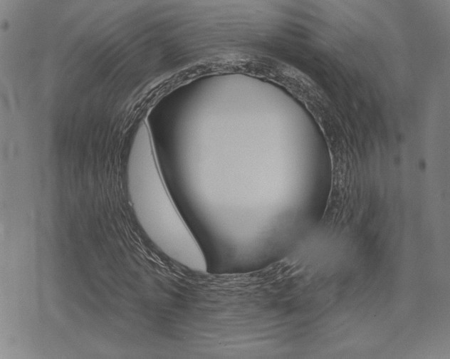 X0000072940773200607210906