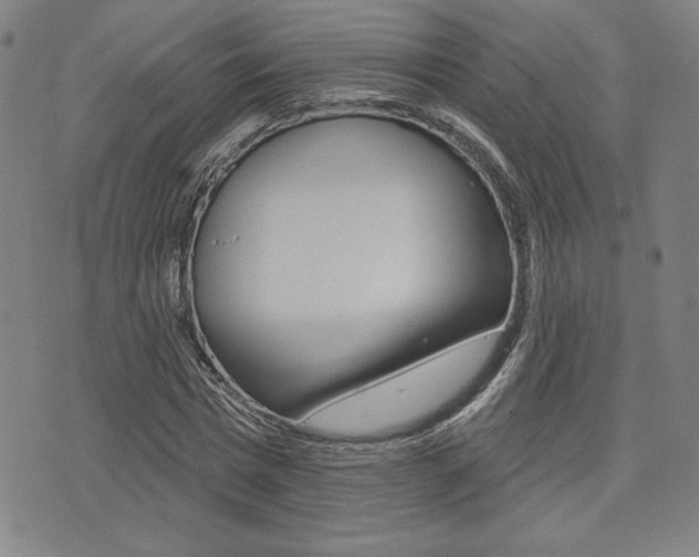 X0000072940777200607210906