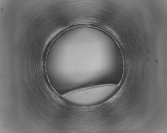 X0000072940779200607210906