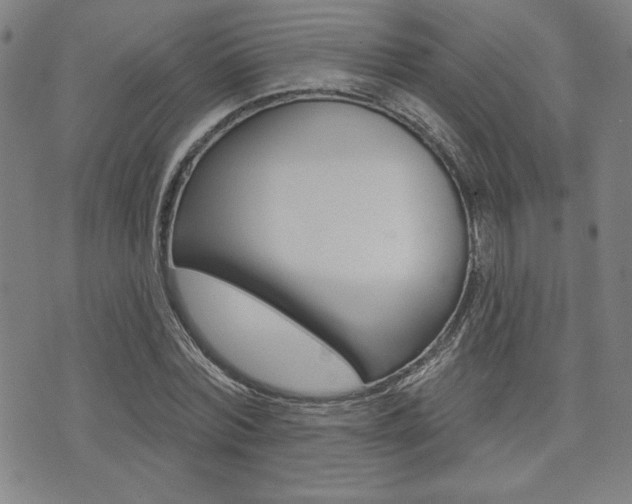 X0000072940780200607210906