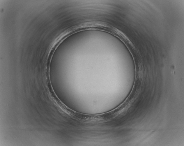 X0000072940786200607210906