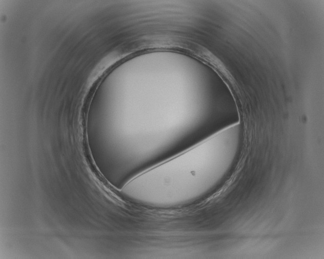 X0000072940787200607210906