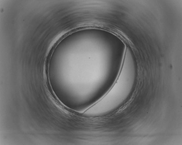 X0000072940788200607210906