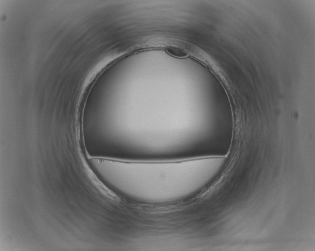X0000072940795200607210906