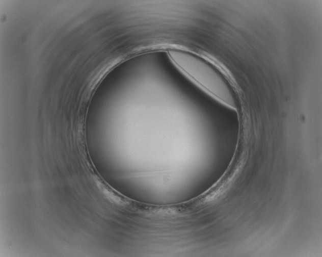 X0000072940801200607210906