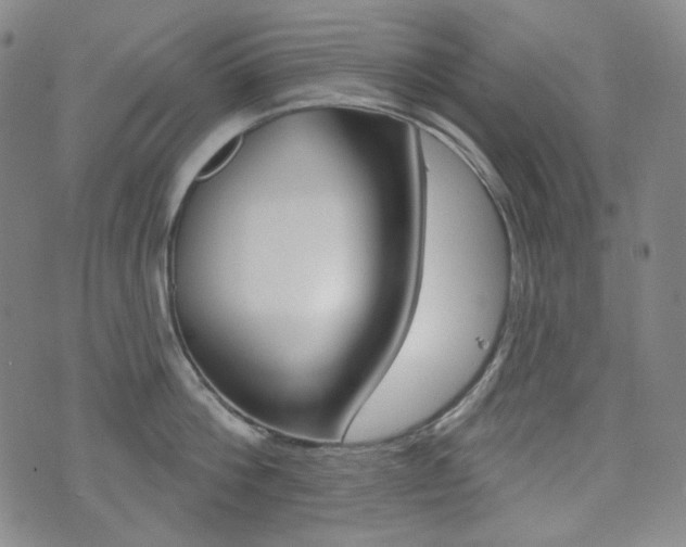 X0000072940812200607210906