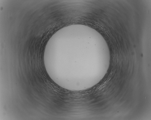 X0000072940818200607210905