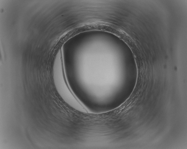 X0000072940822200607210905