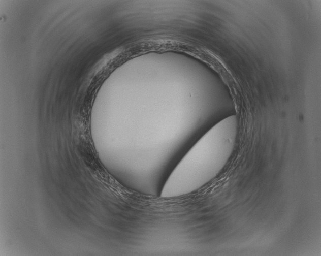 X0000072940823200607210905
