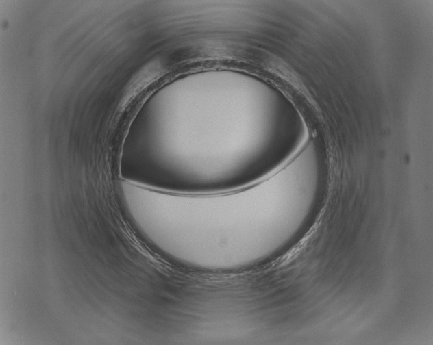 X0000072940826200607210905