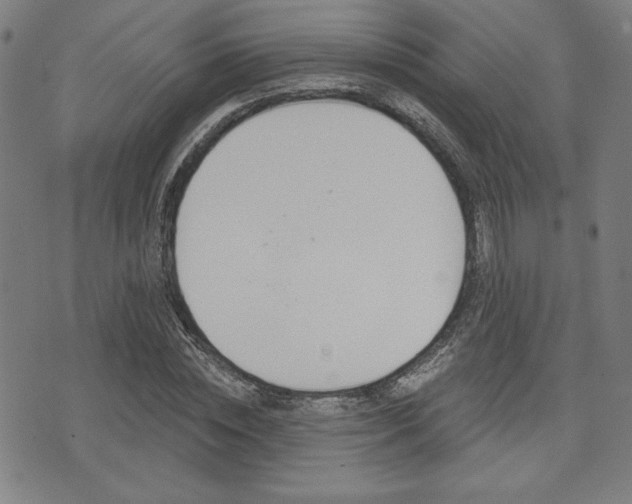 X0000072940828200607210905