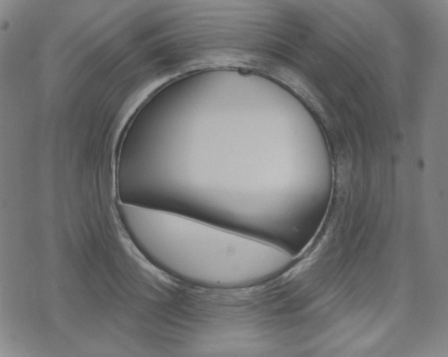 X0000072940844200607210905