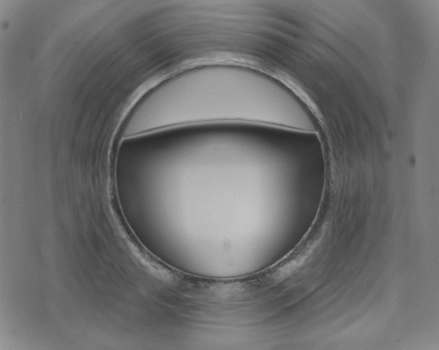 X0000072940845200607210905