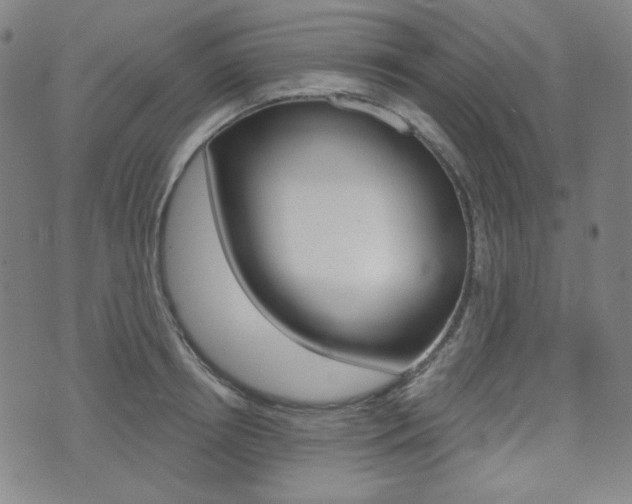X0000072940850200607210905
