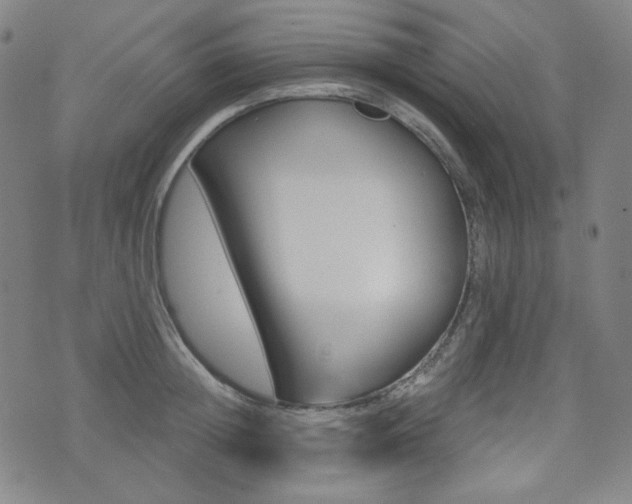 X0000072940852200607210905