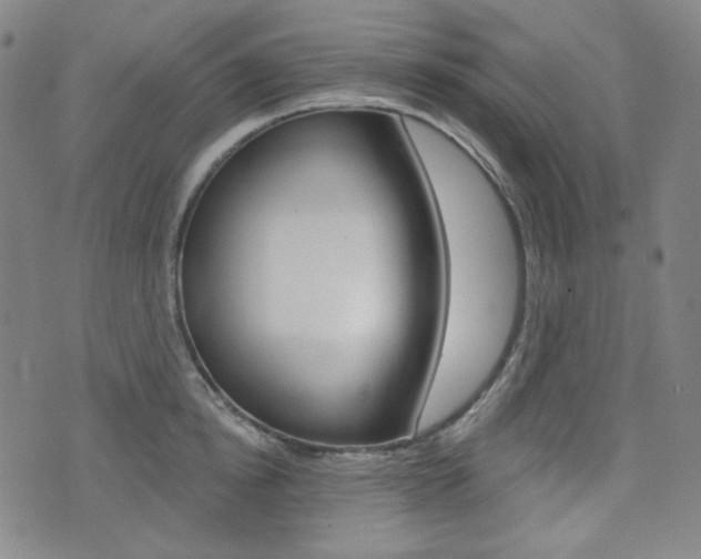 X0000072940854200607210905