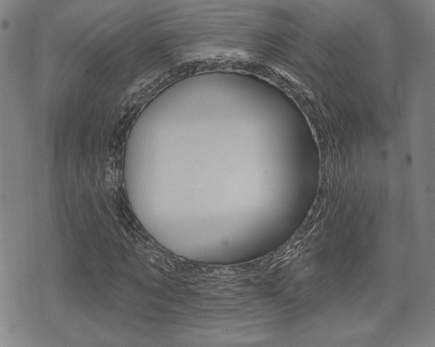 X0000072940869200607210905