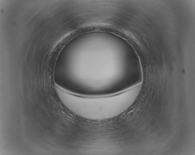 X0000072940872200607210905