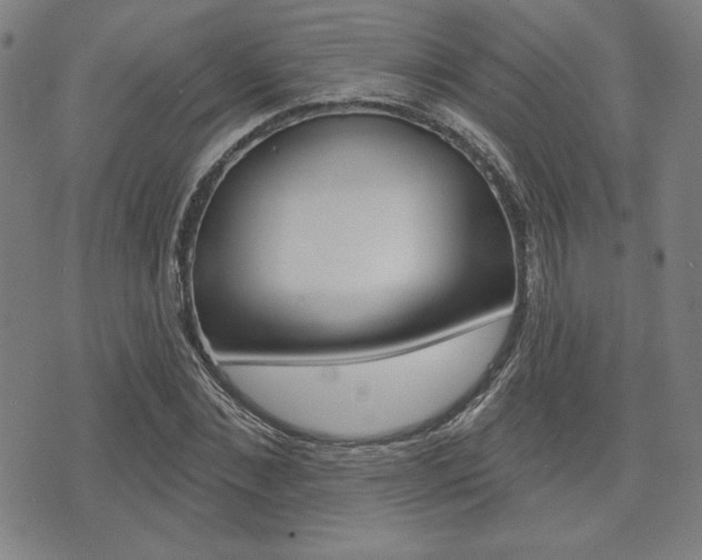 X0000072940876200607210905