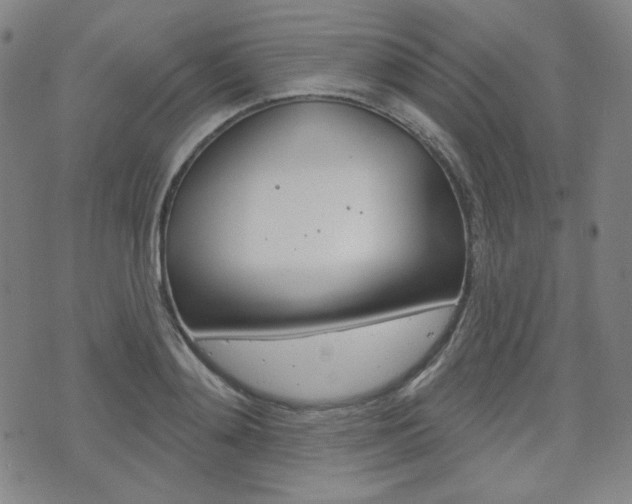 X0000072940892200607210904
