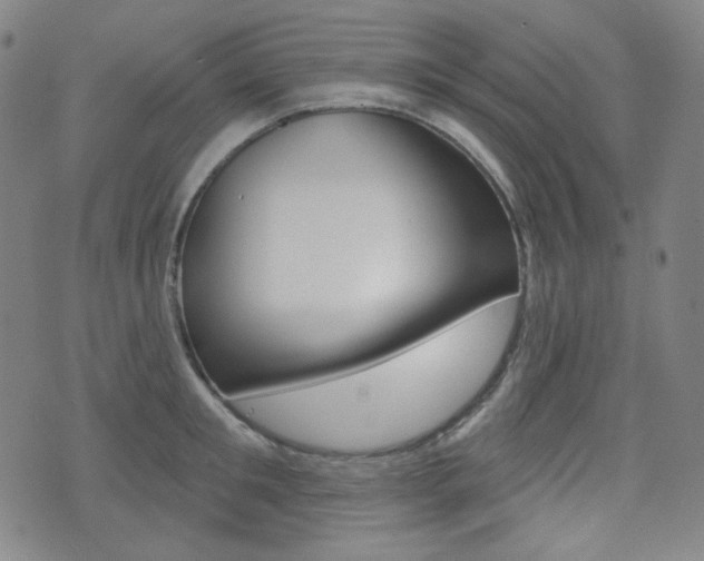 X0000072940901200607210904