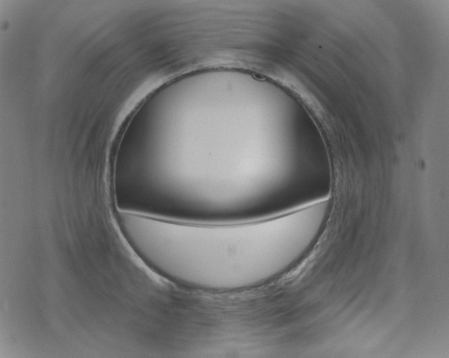 X0000072940902200607210904
