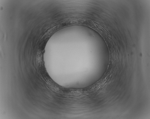 X0000072940914200607210903