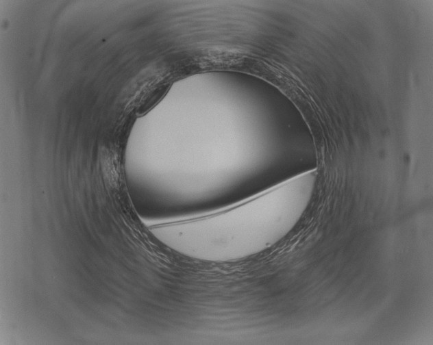 X0000072940915200607210903