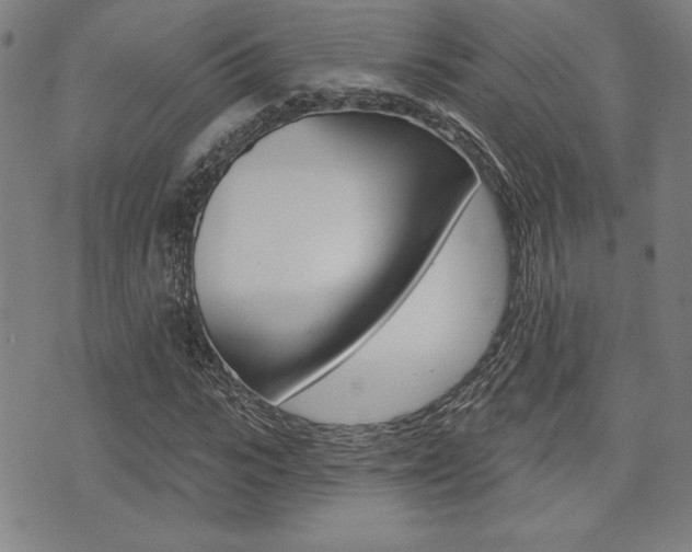 X0000072940919200607210903