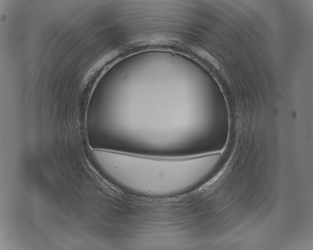 X0000072940922200607210903