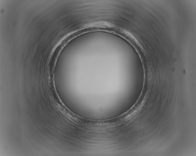 X0000072940923200607210903