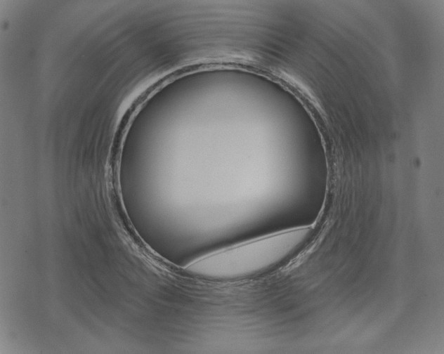 X0000072940928200607210903