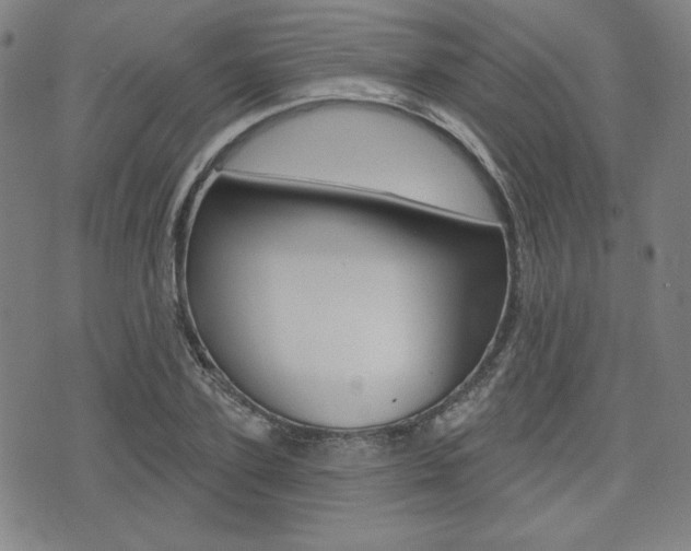 X0000072940931200607210903