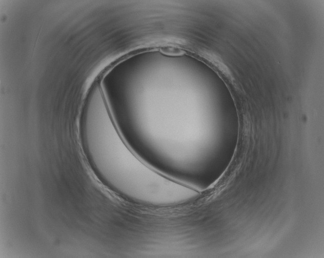 X0000072940936200607210904