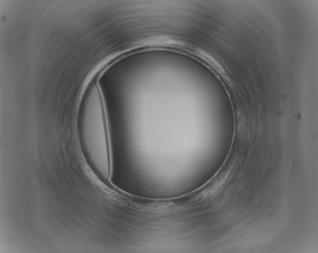 X0000072940939200607210904
