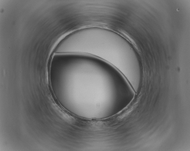 X0000072940940200607210904